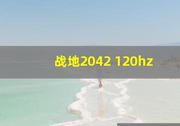 战地2042 120hz